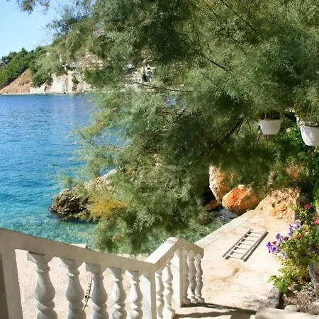 Apartament Ventula Mimice