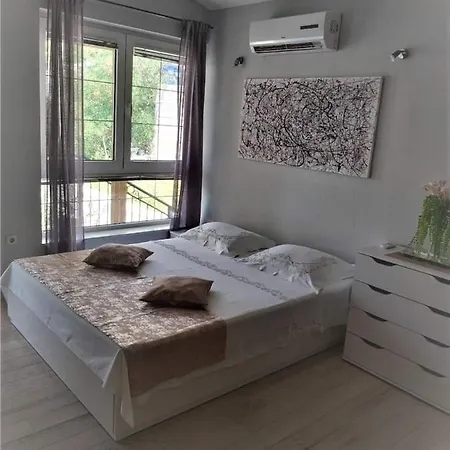 Apartament Ventula Mimice