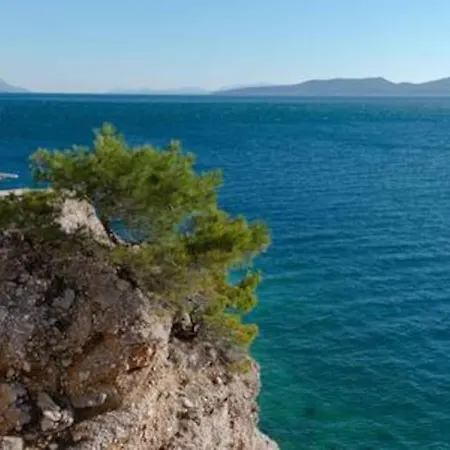 Ventula Apartman Mimice