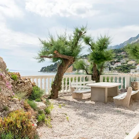 Ventula Apartament Mimice