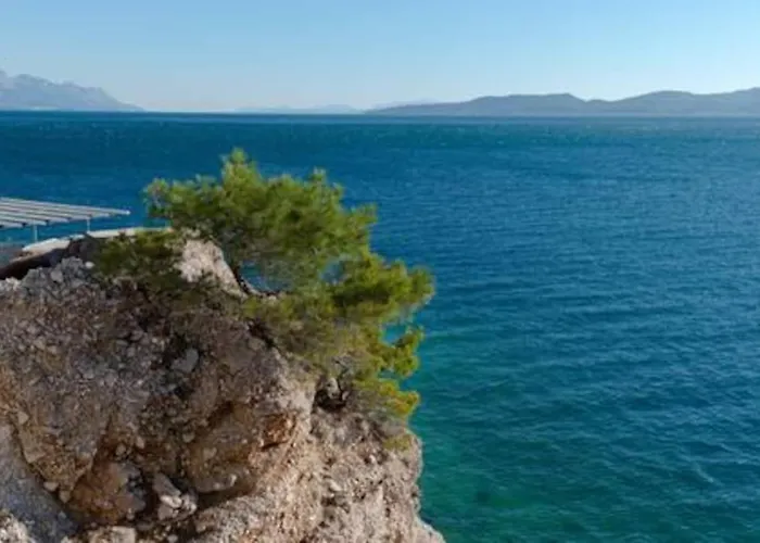 Ventula Lejlighed Mimice