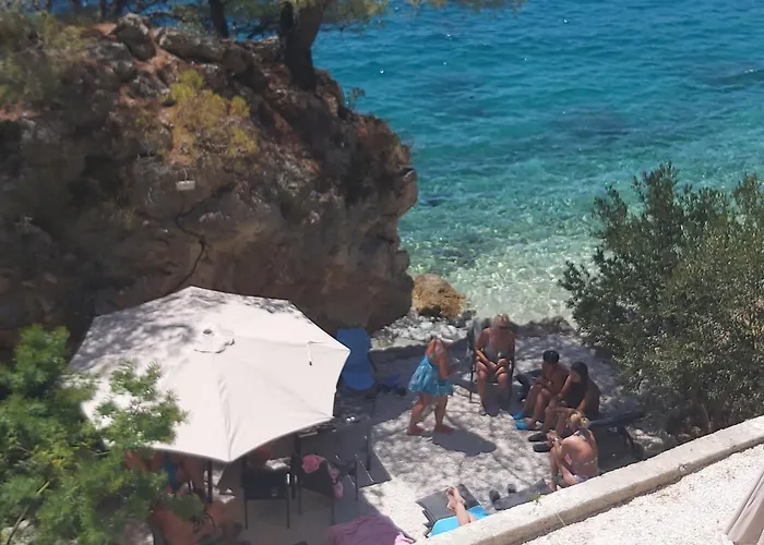 Lejlighed Ventula Mimice